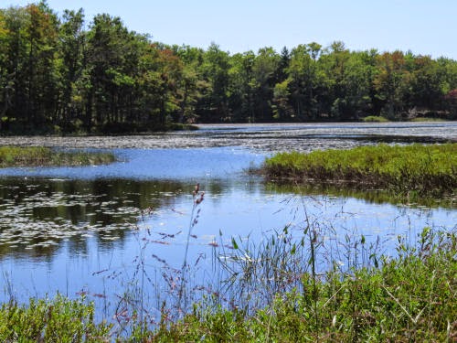 Lost Lakes of Hamlin Lake