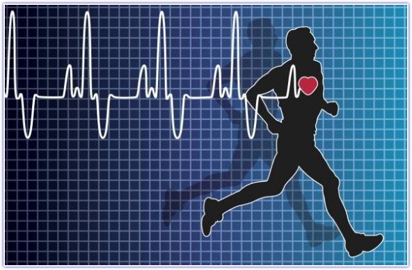 Average-Heart-Rate-During-Exercise