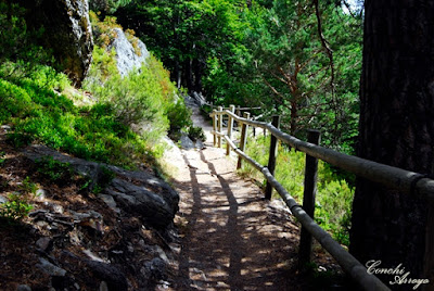 Camino de bajada, por senda de piedra y baranda de troncos. El recorrido para visitar la Laguna es en forma de U y todo por pasarelas dispuestas para ello.