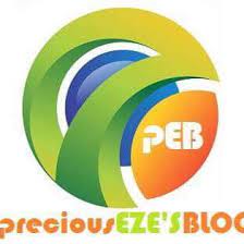 Precious Eze's Blog Evolves Into “News Platform” For Professional News Coverage.