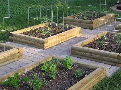 raised beds,