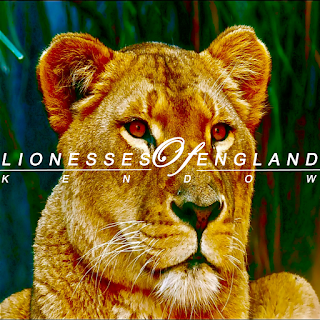 Kendow's song, Lionesses Of England is a dance pop single dedicated to the UK Womens football team - Listen and download on CD Baby