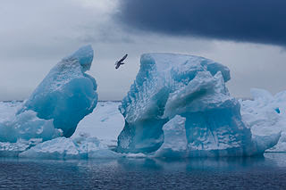 Wonders of Nature and Nature Landscape Photography Franz-Josef Land Reserve in Northern Russia 