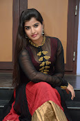 Keerthana at Rudra IPS audio launch-thumbnail-34