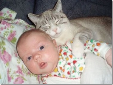 bayi dgn kucing