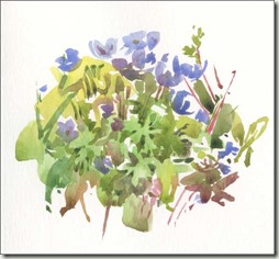 geraniums bg