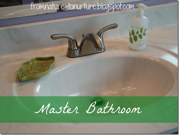 Master Bath 10