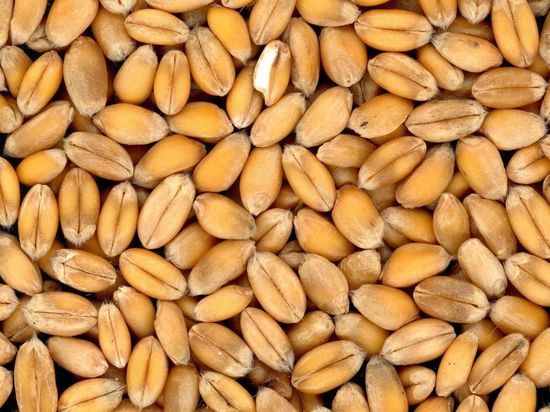 Russia suspends Ukraine grain deal | Russia suspension of grain deal