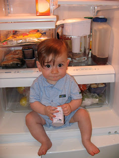 chilling out in the new fridge