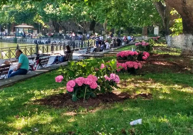  Η ύπαρξη αστικών χώρων πρασίνου έχει προστατευτικές επιδράσεις απέναντι στη θνησιμότητα