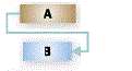 Start to Finish -Task dependency