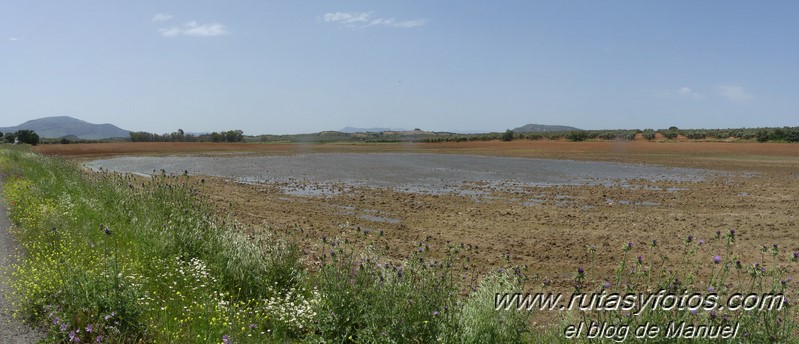 Laguna de Fuente de Piedra y Lagunas de Campillos