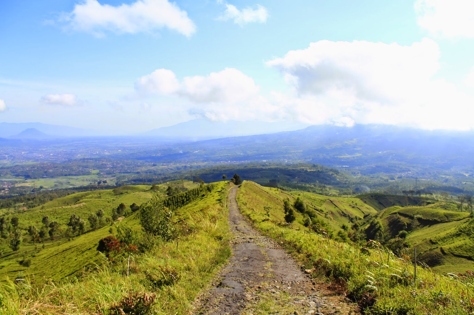 Gunung Cikuray Dengan Sejuta Pesona Keindahan Alamnya