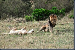 Africa 2GB 410