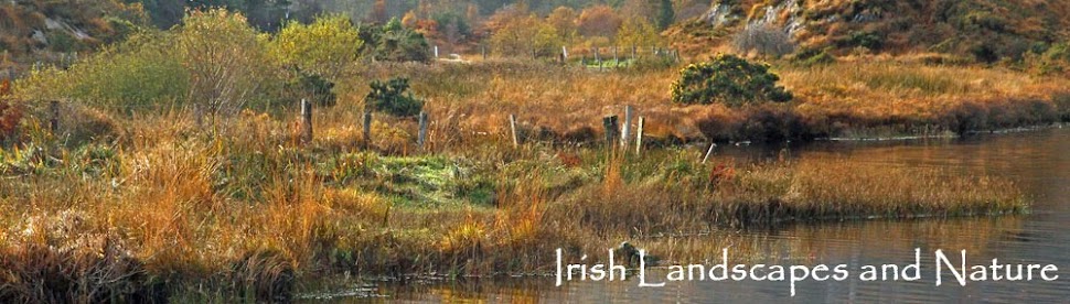 Irish Landscapes and Nature