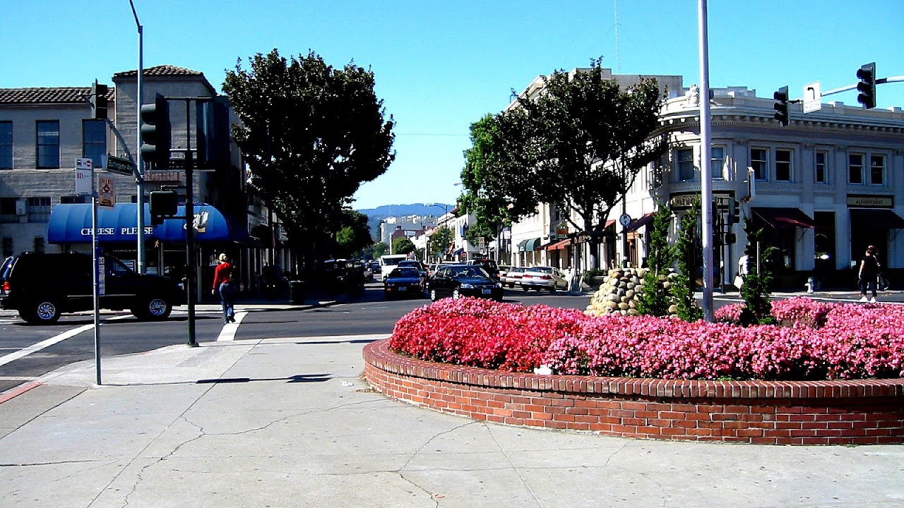 Anson Burlingame - Flowers Burlingame