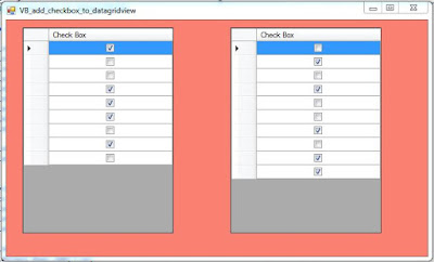 VB DataGridView Check Box Column