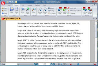 Magic PDF Editor v2.3