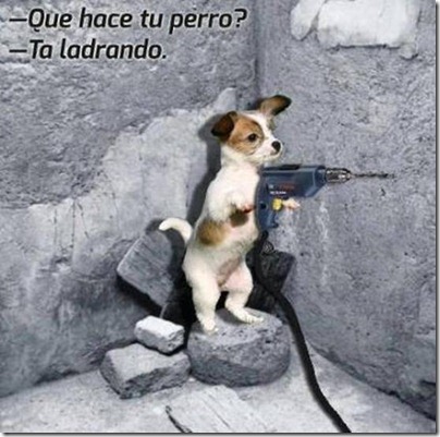 .com/img/b/R29vZ2xl/AVvXsEh_VCz3obEt7W5CExCjVUJro5ixnYeW0cZ_A7PF4wg5lCUYEtuC6T_vcRO6biEZbJrSYrFBOfUMgvDEV7A3i6LN0Tx9Xu49AUKInWIPnelhJByslficHEDlUQ2j5HmLFeyPUUhnffQLFJfQ/ .com/img/b/R29vZ2xl/AVvXsEh_VCz3obEt7W5CExCjVUJro5ixnYeW0cZ_A7PF4wg5lCUYEtuC6T_vcRO6biEZbJrSYrFBOfUMgvDEV7A3i6LN0Tx9Xu49AUKInWIPnelhJByslficHEDlUQ2j5HmLFeyPUUhnffQLFJfQ/