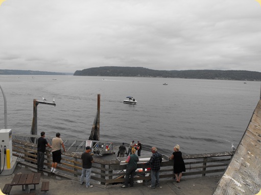 Farmers Market Ruston, Tacoma Wa 168