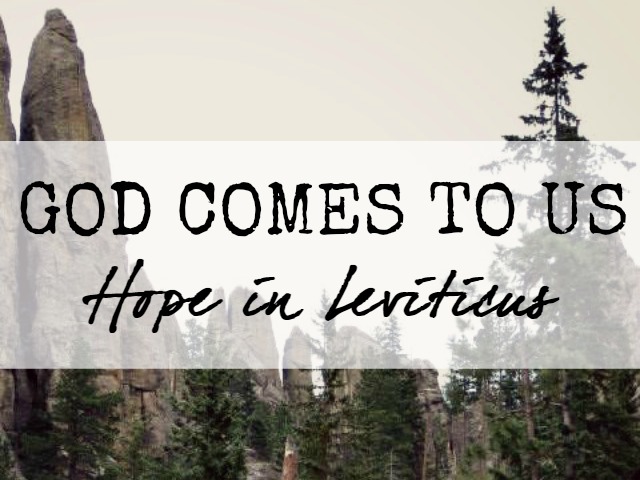 God comes to us: Hope in Leviticus