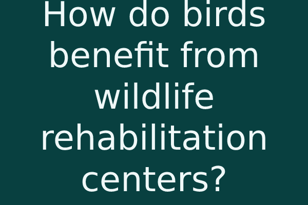 How do birds benefit from wildlife rehabilitation centers?
