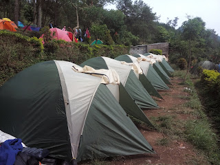 harga sewa tenda di gunung andong