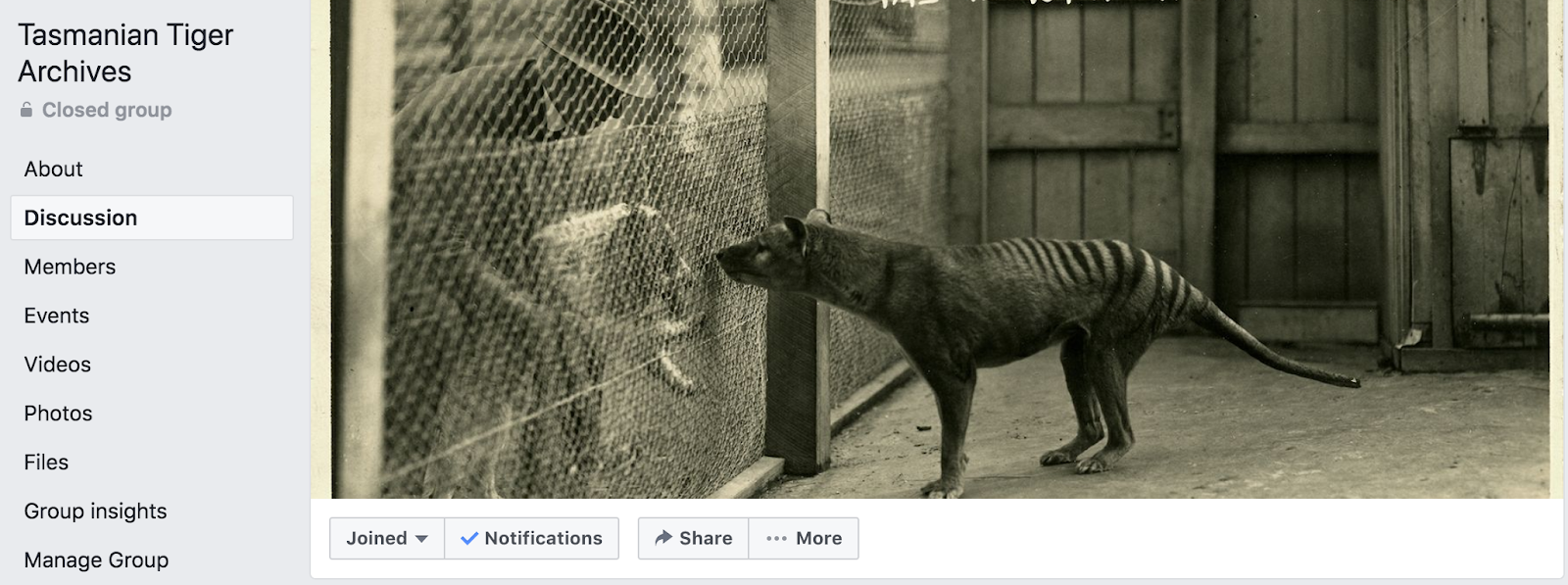 Centre for Fortean Zoology Australia: A New Thylacine ...