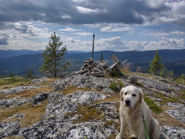 hallingdal flå turufjell stolpejakt