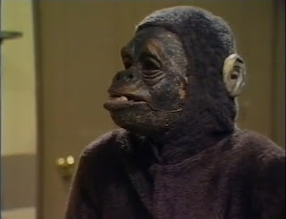 The Golem Universe Monty Python Gorilla Librarian