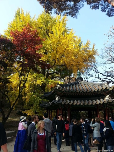 Changdeokgung Secret Garden