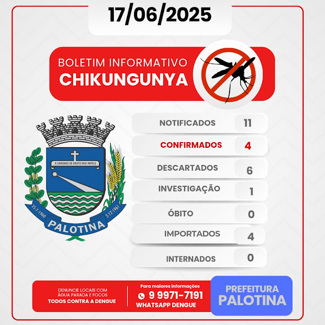 boletim com dados atualizados sobre os casos de dengue e chikungunya registrados