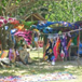 View album