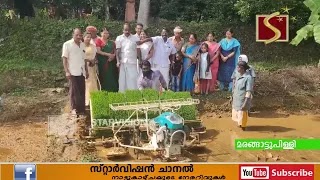 മരങ്ങാട്ടുപിള്ളി കൃഷിഭവന്റെ ആഭിമുഖ്യത്തില്‍ നെല്‍കൃഷിയുടെ ഞാറുനടീല്‍ നടന്നു.