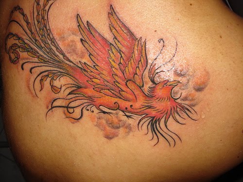 fenix tattoo. fenix tattoo