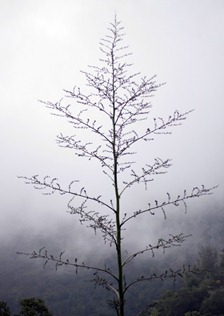 IMG_1051