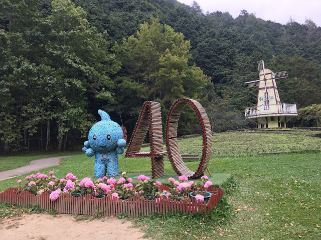 flowers blooming in ShanLinXi National Forest Recreation Area, Nantou, Taiwan