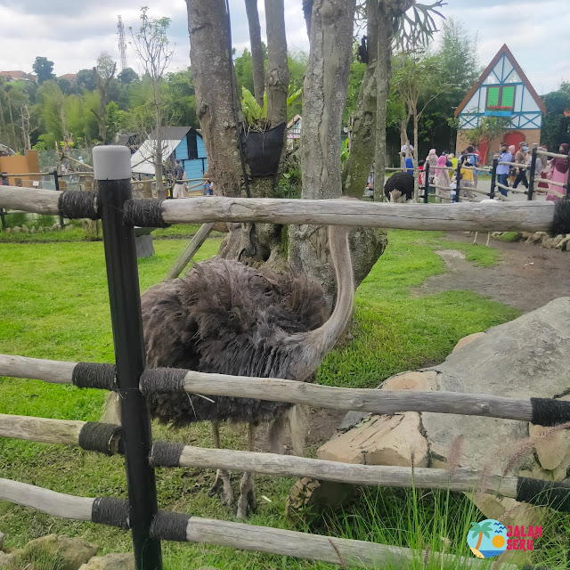Lembang Park And Zoo Tempat Wisata Baru Di Bandung