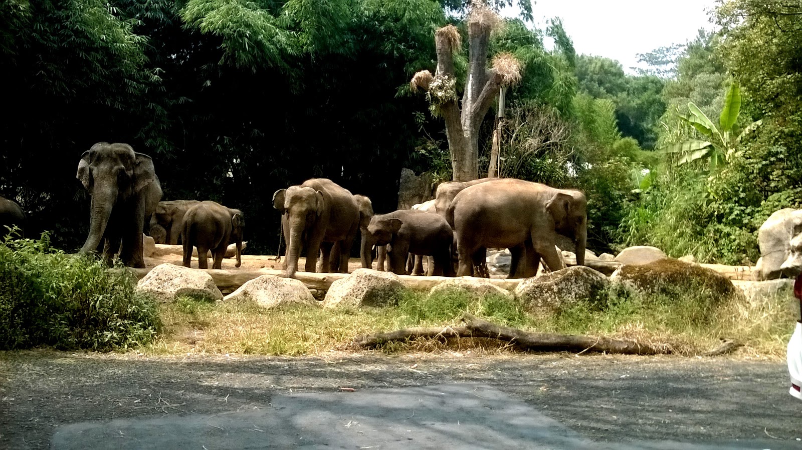 Work Smarter Taman  Safari  Cisarua Bogor 