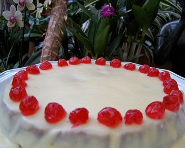 cheese cake choco entier