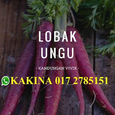 KHASIAT LOBAK UNGGU