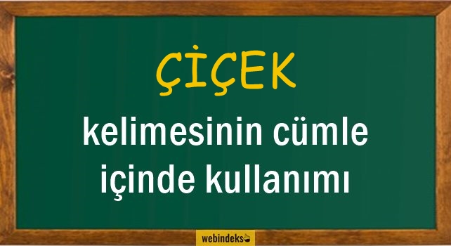 Çiçek İle İlgili Cümleler, Kısa Cümle İçinde Kullanımı, Örnek Cümle Kurmak