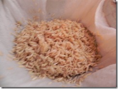 puttu2