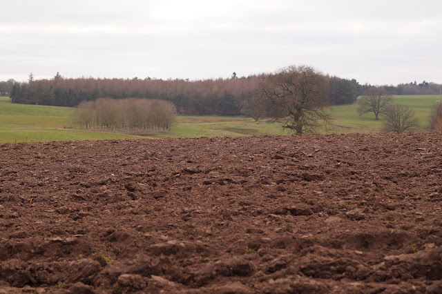 circular walk to Edenhall