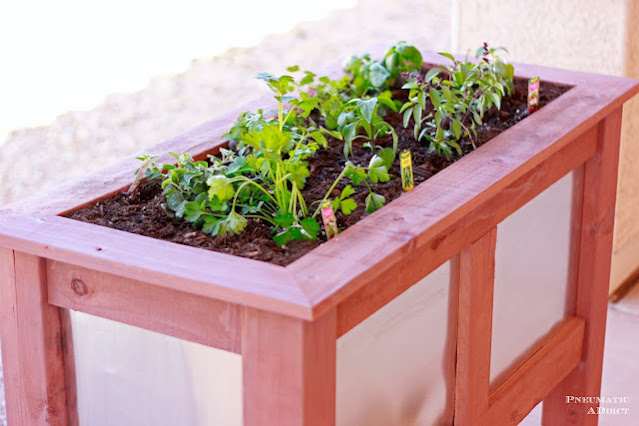 Amazing raised garden beds