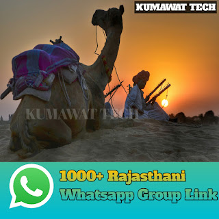 1000+ Rajasthani WhatsApp group link list ( join Rajasthani WhatsApp group link)