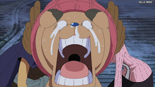 ワンピースアニメ スリラーバーク編 351話 チョッパー Tony Tony Chopper | ONE PIECE Episode 351 Thriller Bark