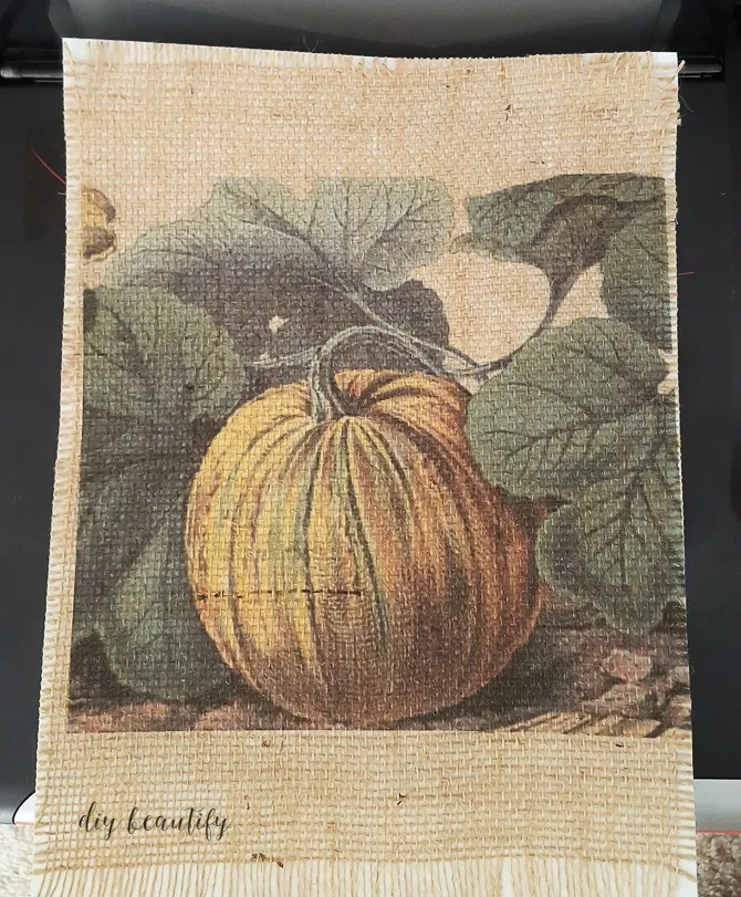 printed burlalp pumpkin