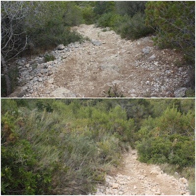 CALAFELL-MONTPAÓ-URBANITZACIÓ VALLDEMAR-TORRE D'EN VIOLA- EL PUJAL-LA TALAIA, corriol entre El Pujal al nord de Segur de Calafell i el Puig de la Talaia de Calafell