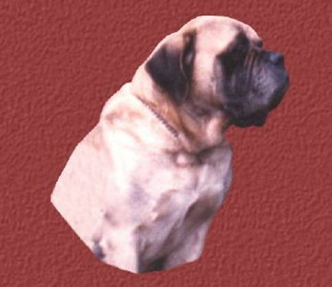 clip_image012[4]